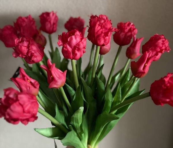 Papegaai tulpen fuchsia