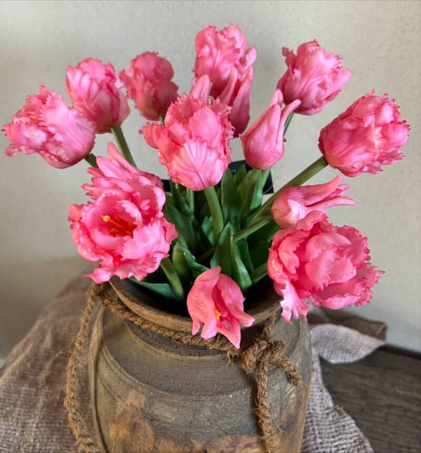 Papegaai tulpen roze