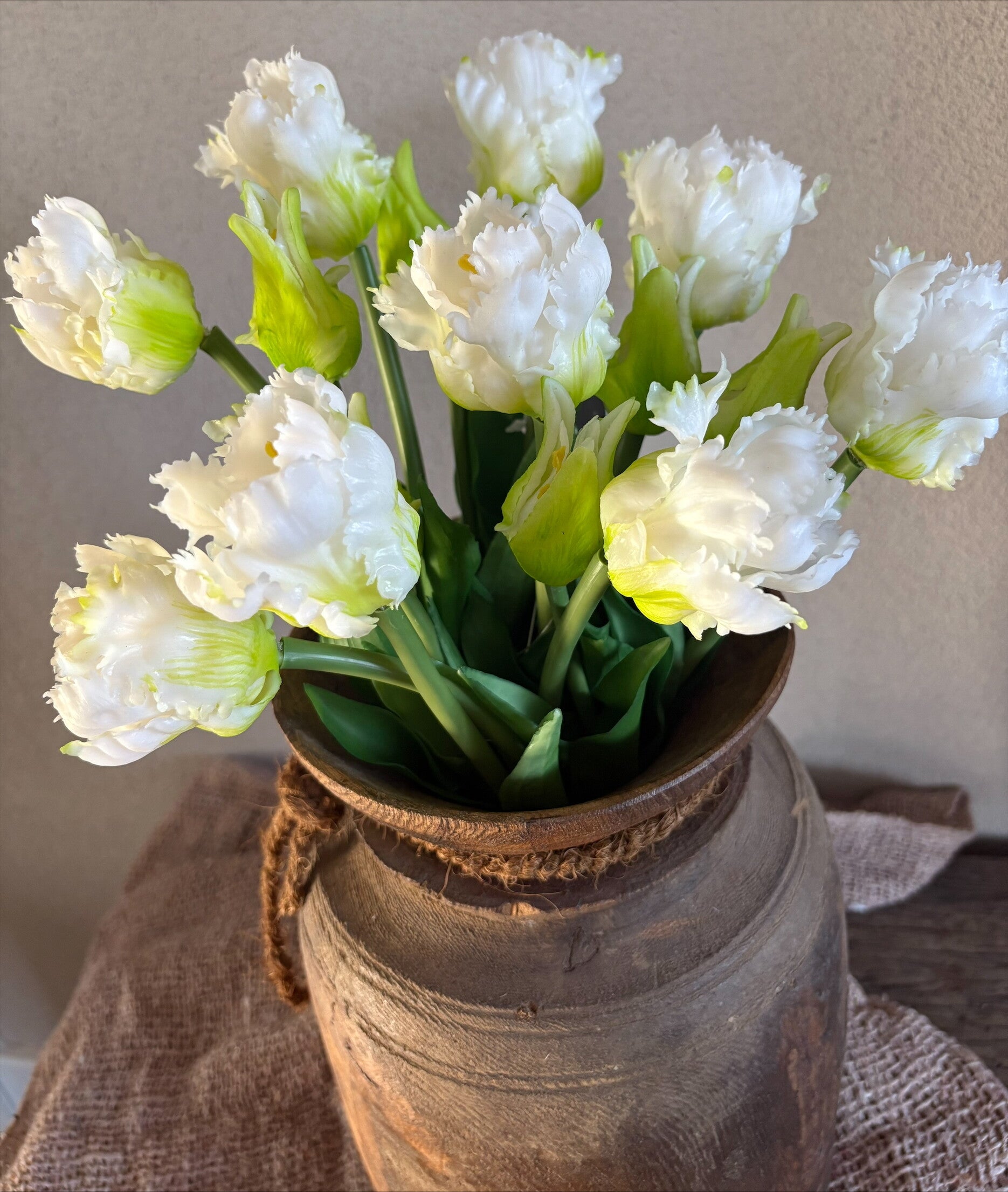 Papegaai tulpen wit
