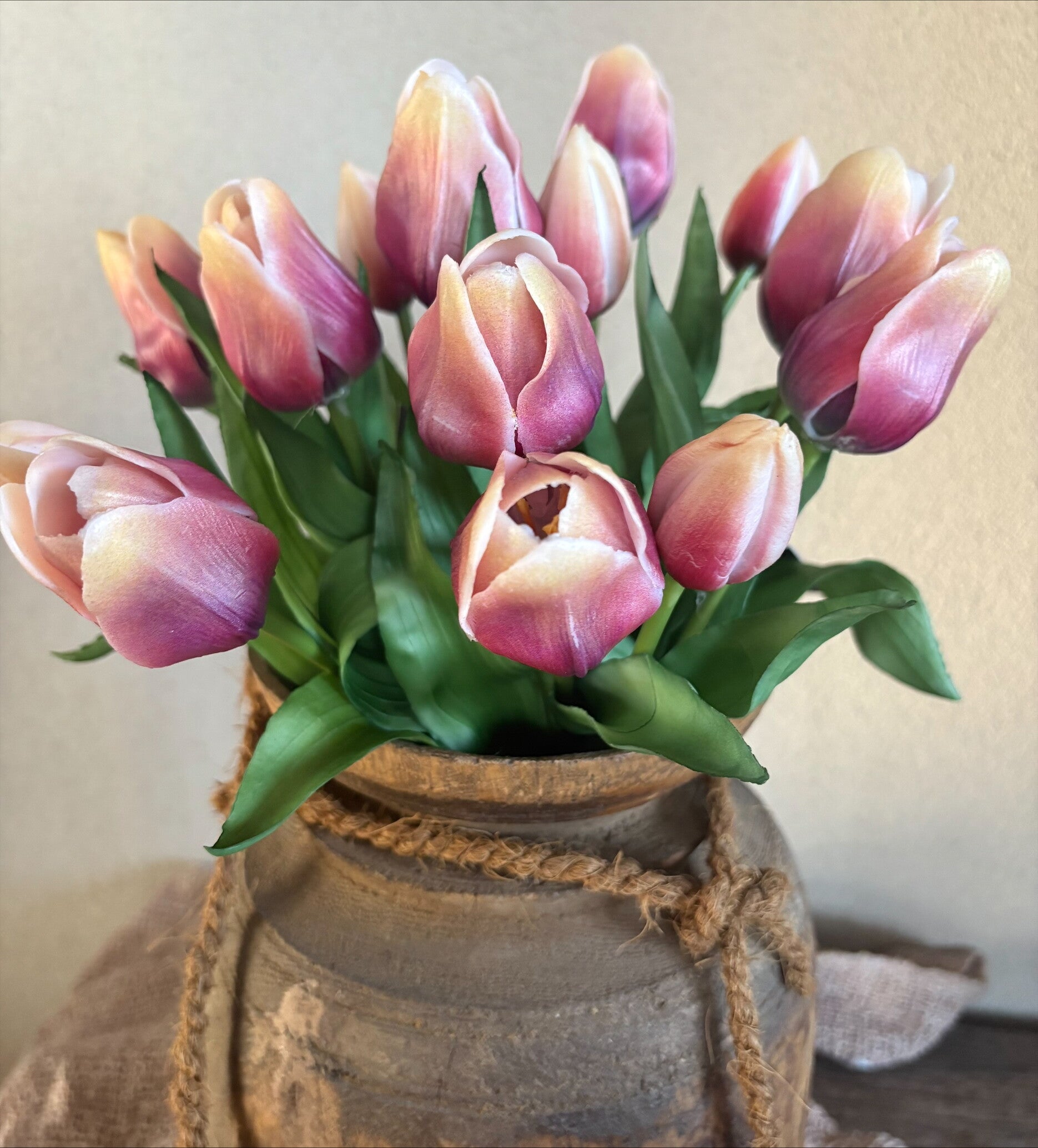 Tulpen paars