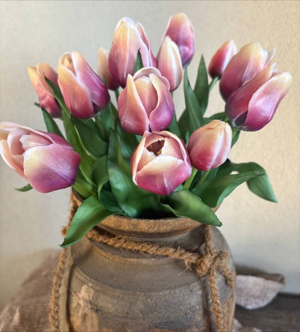 Tulpen paars