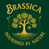 Brassica