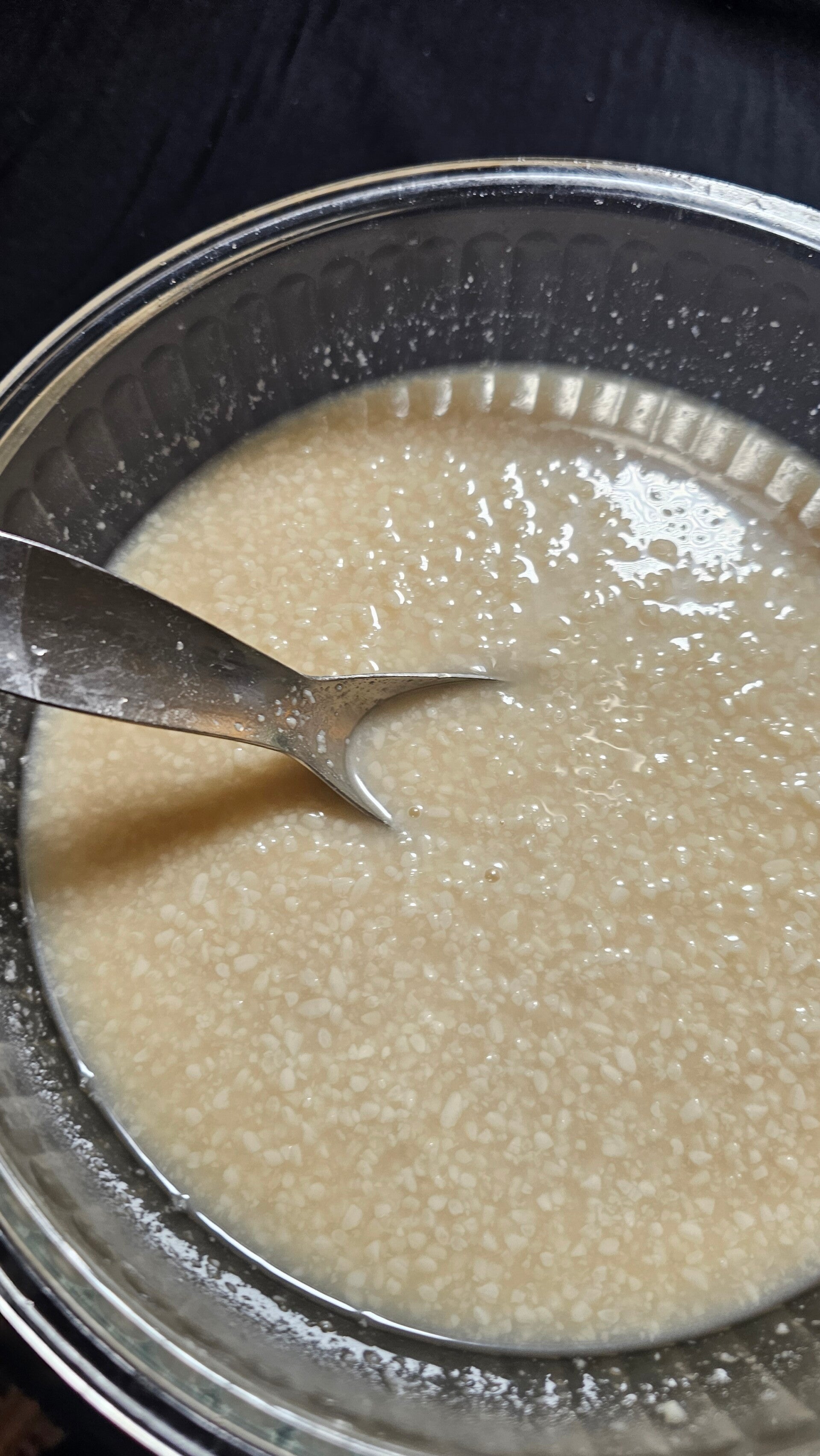 ris med koji sporer som fermenterer og blir til shio koji