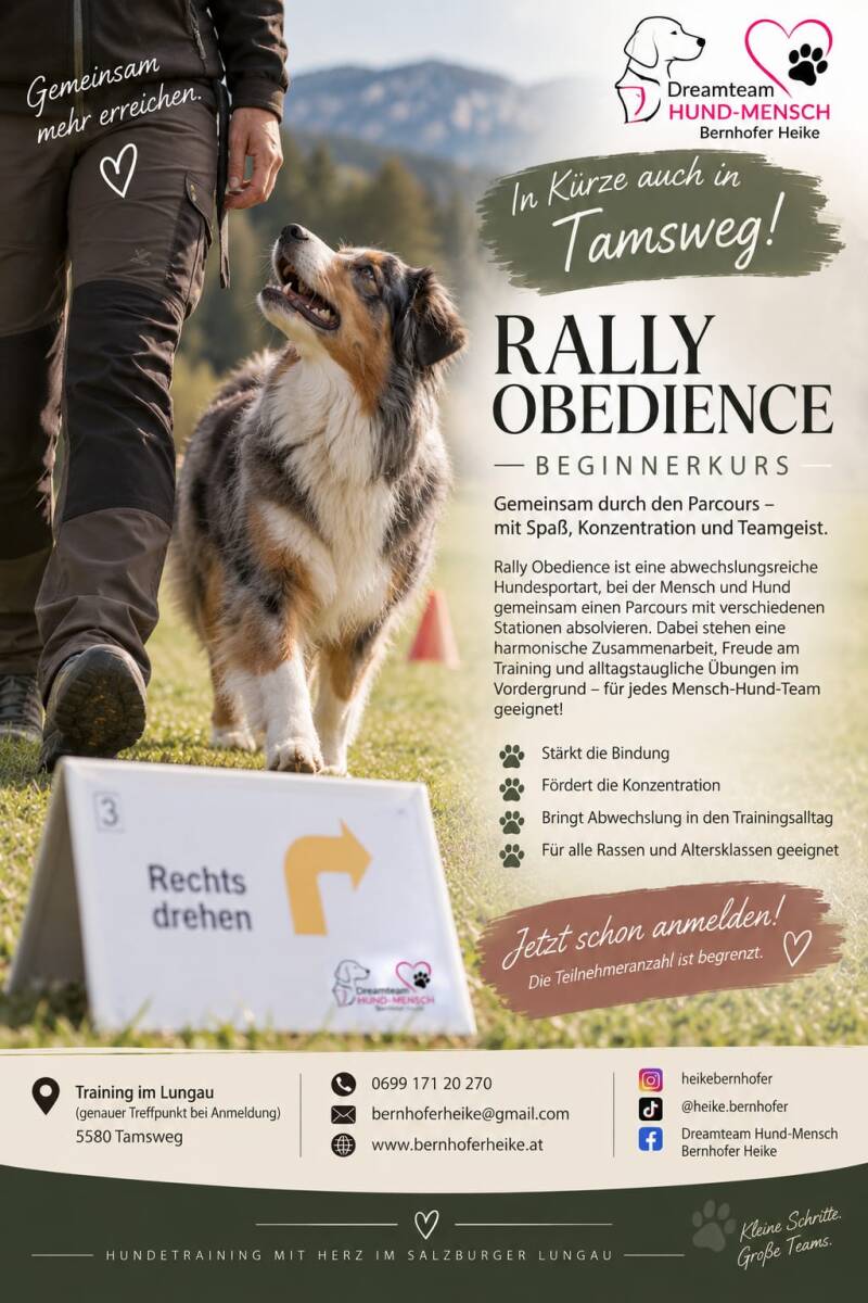 Rally Obedience Beginnerkurs im Lungau bei Dreamteam Hund-Mensch