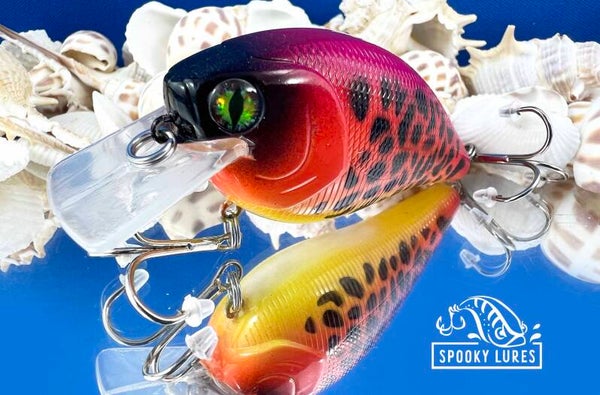 2.5 inch square bill - orange fading to yellow with a pink back and black spots