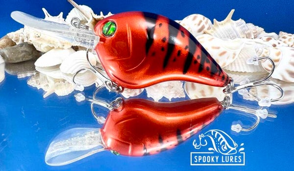 DT-10 - Candy Orange with black perch stripes and spots