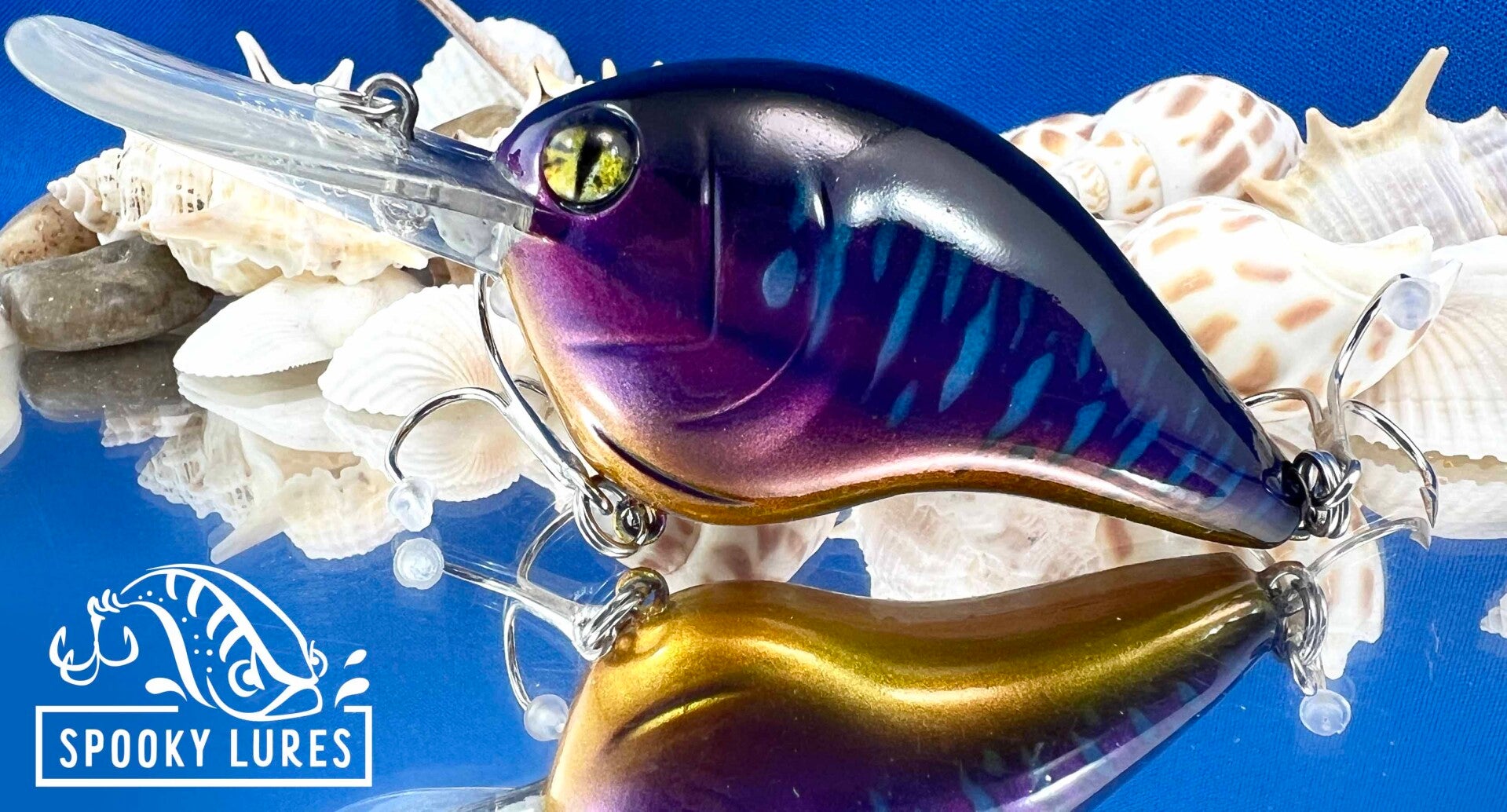 DT-10 - Candy purple body fading to candy yellow/gold with a dark back and white tiger stipes.