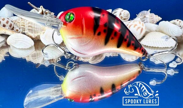 DT-10 - Candy blood red fading to white belly. Touch of yellow under the bill.