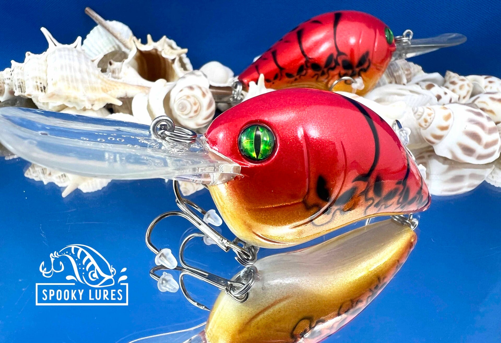 DT-10 - Candy blood red fading to candy yellow. White belly and black alien face craw pattern.