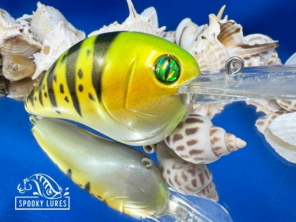 DT-10 - Candy yellow with white belly, black perch stripes and dots with gold dust