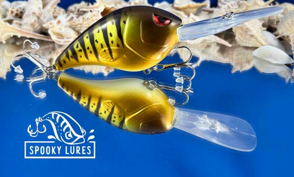 Fat Poppa - Candy golden yellow with brown perch stripes