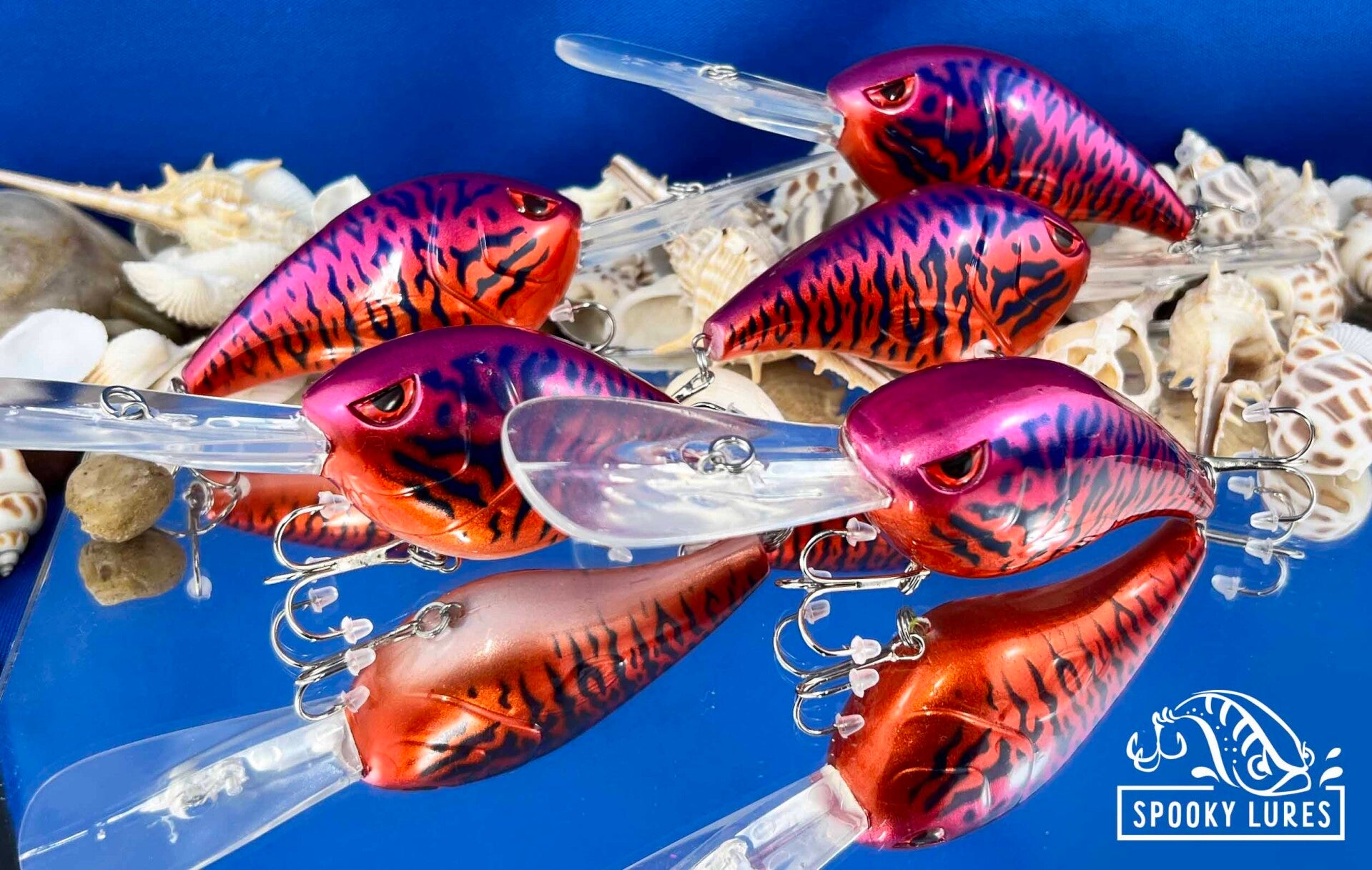 Fat Poppa - Candy purple and orange