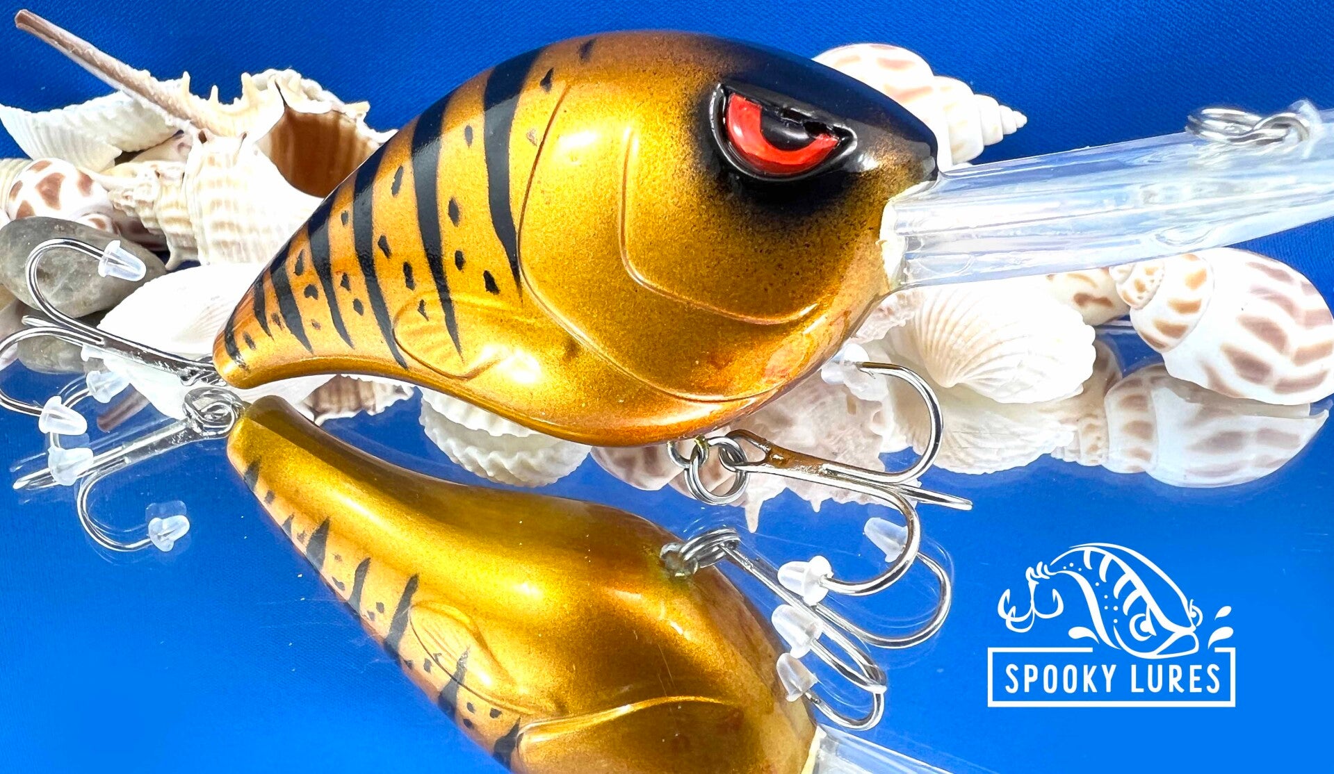 Fat Poppa - Candy orange with black perch stripes and spots