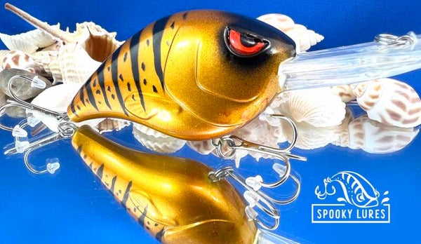 Fat Poppa - Candy orange with black perch stripes and spots