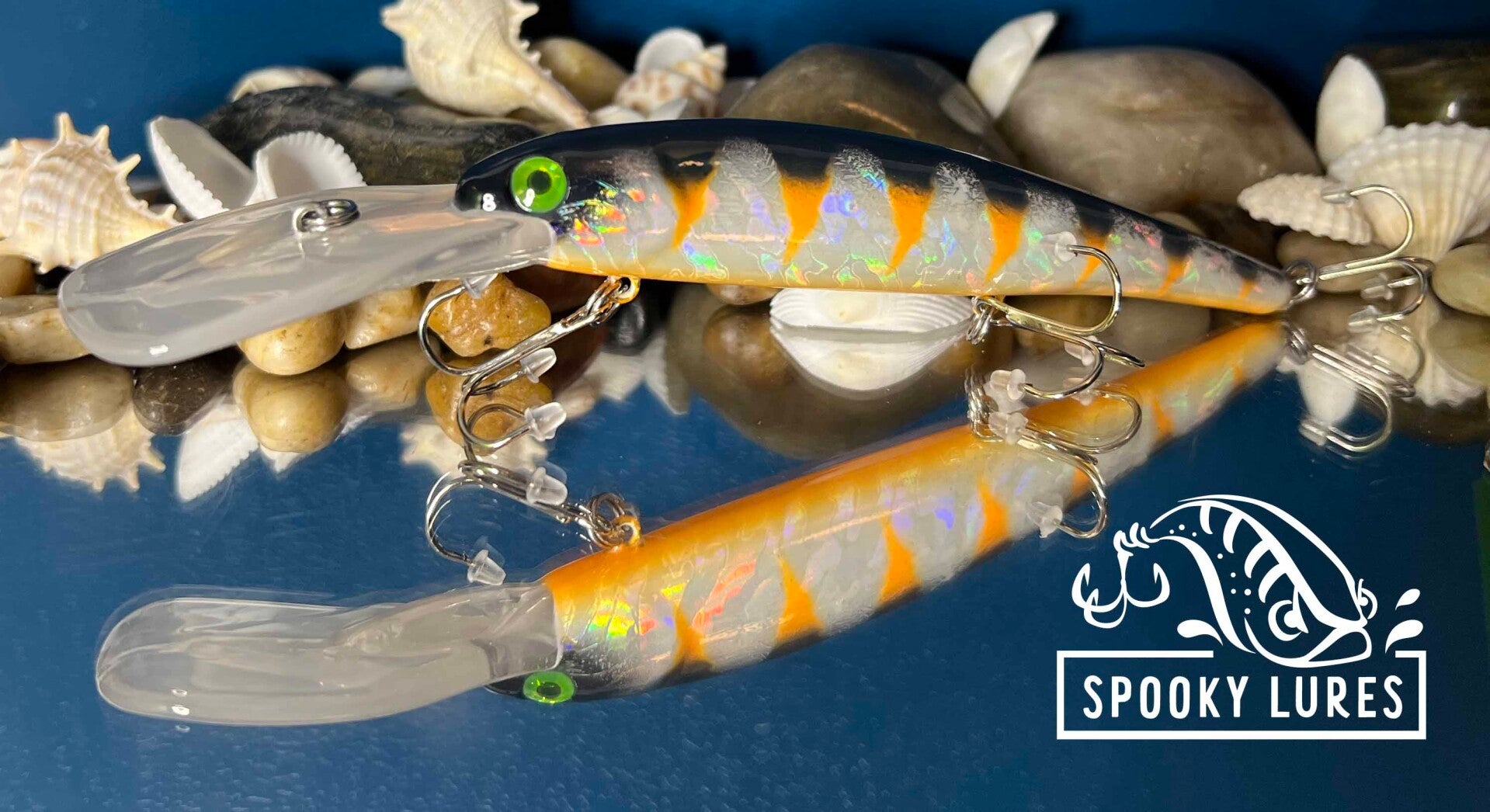 Bandit - Holographic body with yellow belly, black back with black and yellow perch pattern