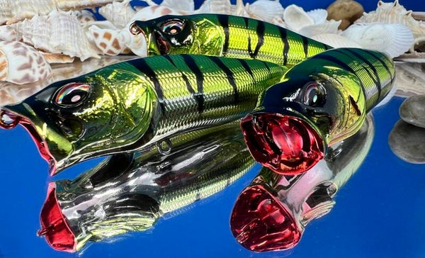 Vented Popper - Chrome green with black perch stripe