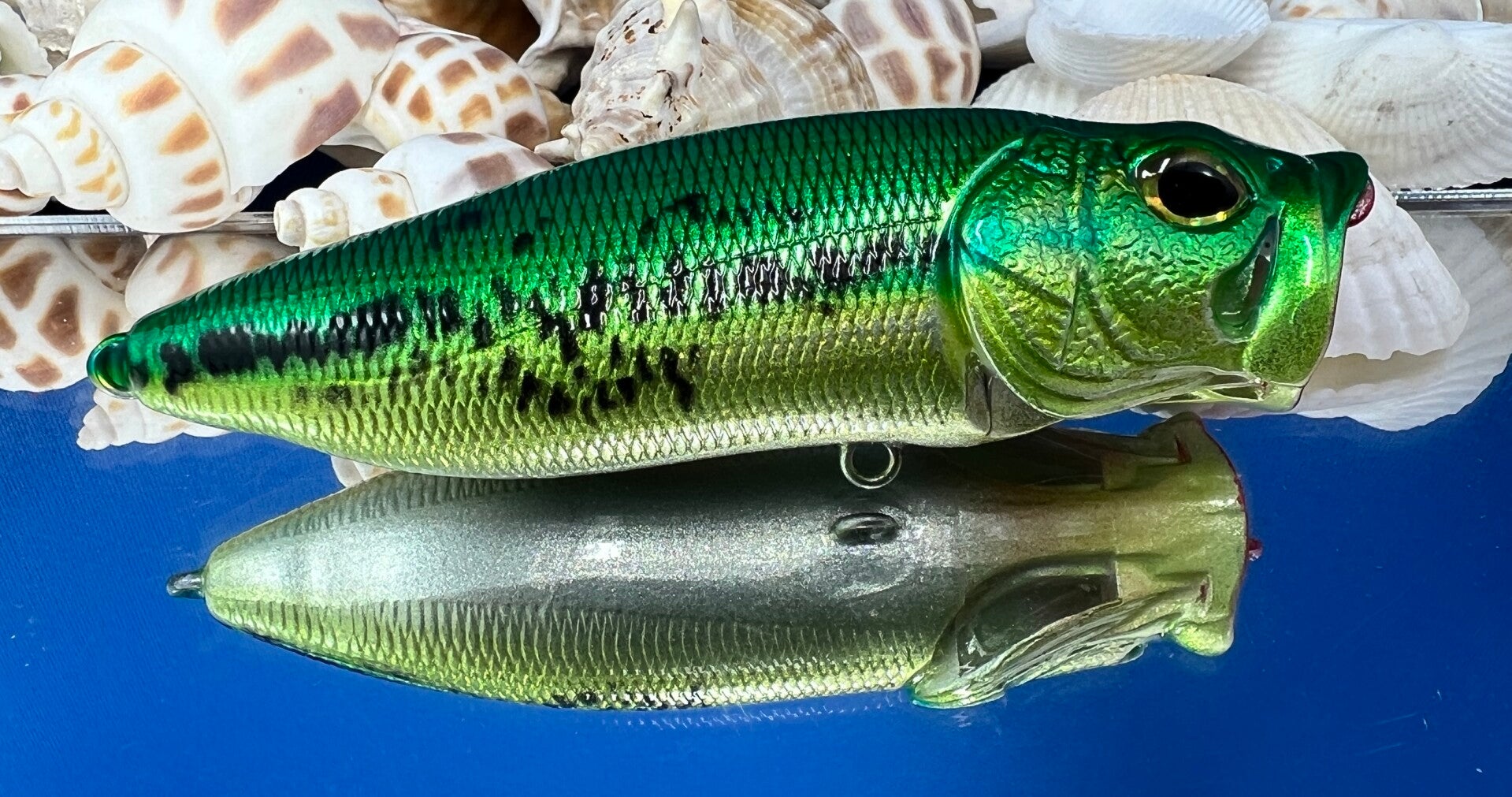 Vented Popper - Green baby bass