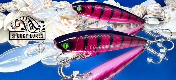 3.5 inch Medium Diver - Purple with thick black perch pattern