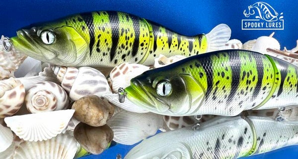 Slide 135 - Green fading to yellow body with black perch stripes and spots