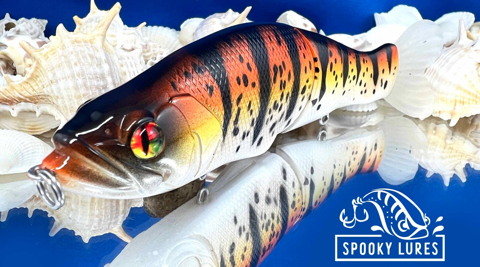 Slide 135 - Orange fading to yellow body with black perch stripes and spots