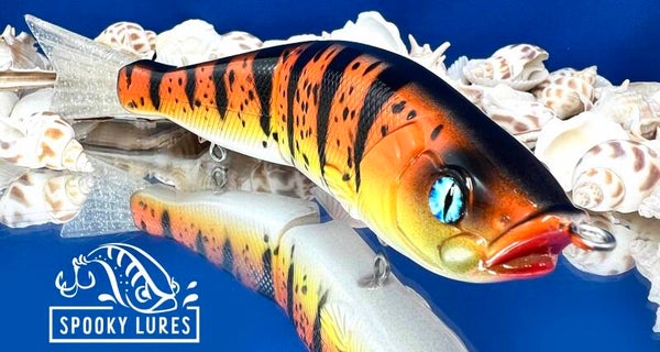 S-Waver - Orange fading to yellow with pearl white belly