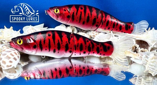 Slide 135 - Candy red with a sparkly white belly and  black tiger stripes