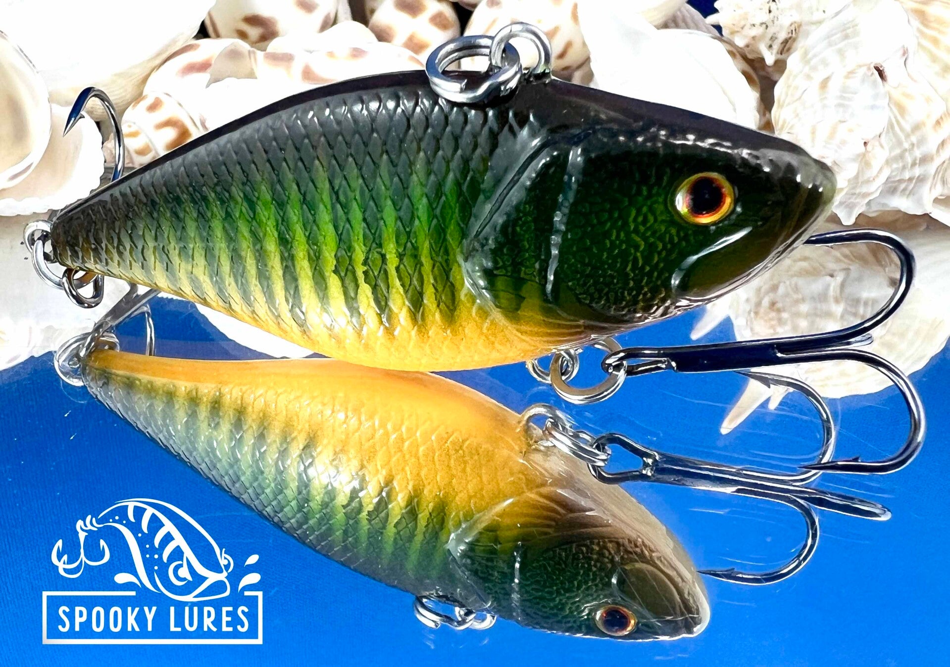 Lipless - Dark sap green fading to a light sap green fading to orange belly