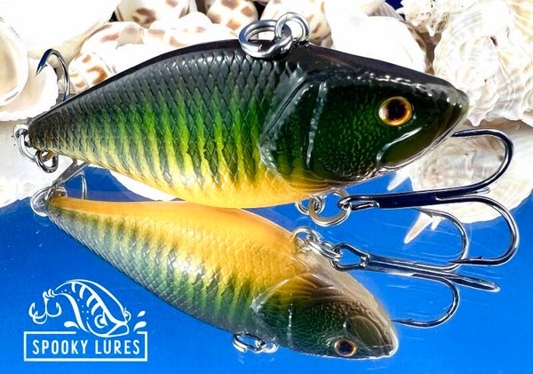 Lipless - Dark sap green fading to a light sap green fading to orange belly