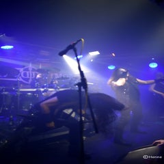 dsc_0311-7.jpg