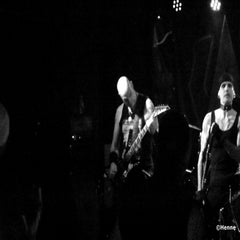 dsc_0087sw.jpg