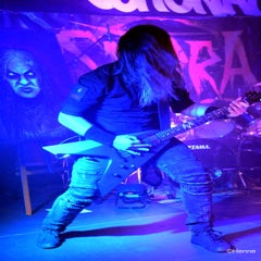dsc_0006-standard-cid5sh.jpg