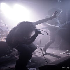 dsc_0028-standard-5nyf6p.jpg