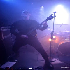 dsc_0032-standard-daz14y.jpg