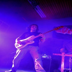 dsc_0037-standard-upg8ot.jpg