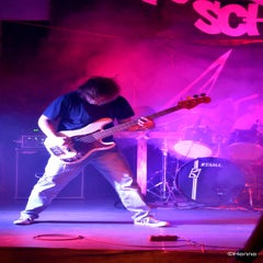 dsc_0070-standard-t2p88p.jpg