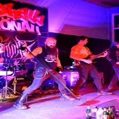 dsc_0154-standard-ct32us.jpg