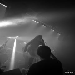 dsc_0231-standard.jpg