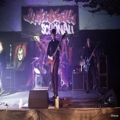 dsc_0239sw-standard-jxdpld.jpg