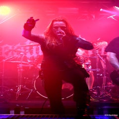 dsc_0304-standard-cha1vt.jpg