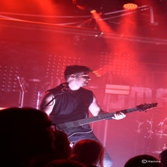 dsc_0317-standard-0dwlz8.jpg