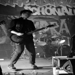 dsc_0342sw-standard-zbf37f.jpg