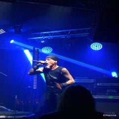 dsc_0427-standard.jpg