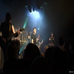 dsc_0453-standard-oryjbp.jpg