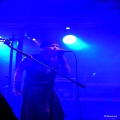 dsc_0466-standard.jpg