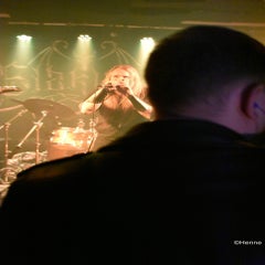 dsc_0484-standard-wjnq74.jpg