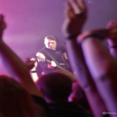 dsc_0722-standard.jpg