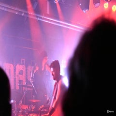 dsc_0745-standard.jpg