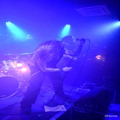 dsc_0912-standard-0hz39j.jpg