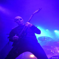 dsc_0986-standard.jpg
