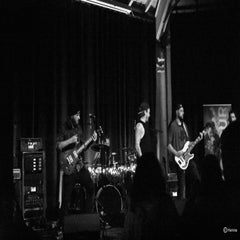 dsc_0364sw-1.jpg